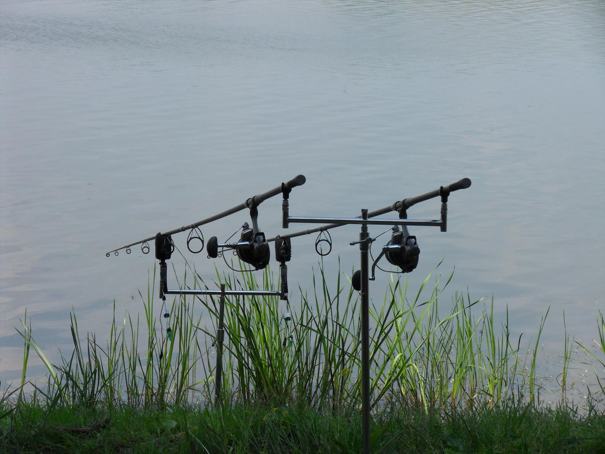 Cetariu 2011 - cetariu2011-013.JPG